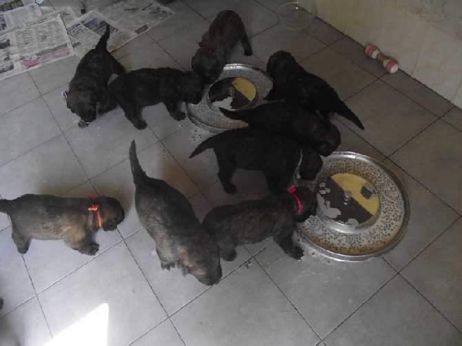 des amours de léos - Photos des bébés à 1 mois