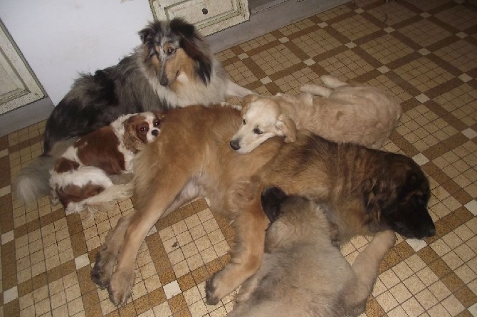 des amours de léos - NOUVELLES PHOTOS TENDRESSE...
