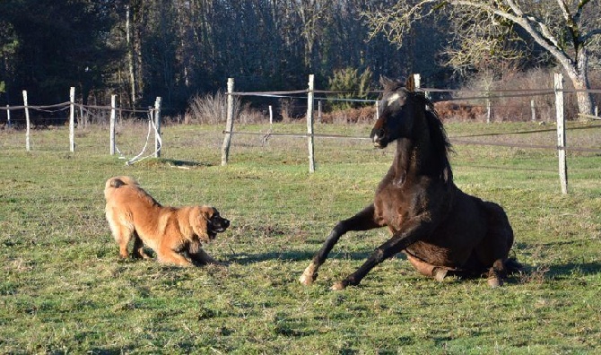 des amours de léos - JAURES en pleine action...
